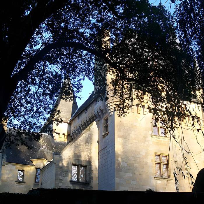 Château de Chabans at dusk through the Périgord forest
